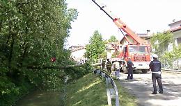 Pianta cade su una casa, paura in via Aglio