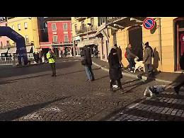 VIDEO Corri con il tuo cane 2017 a Casalmaggiore
