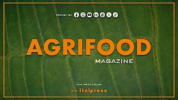 Agrifood Magazine - 11/2/2026
