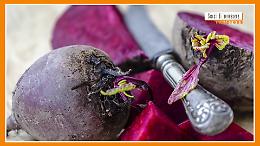 Sorsi di Benessere - Un condimento con ricotta, nocciole e barbabietole