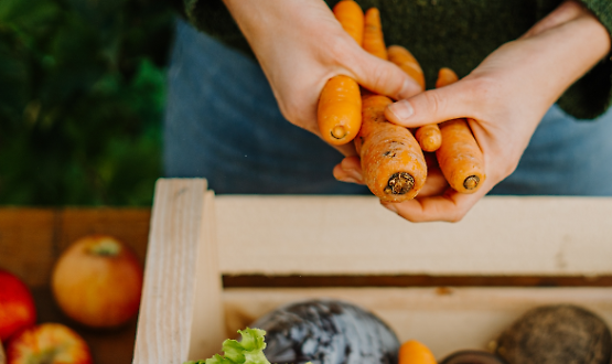 Il Mercatino del Bio