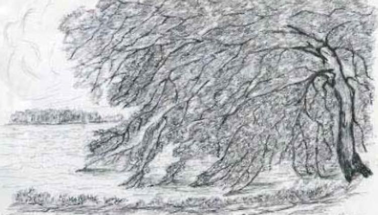I disegni di Cesare Bardelli in mostra in Battistero