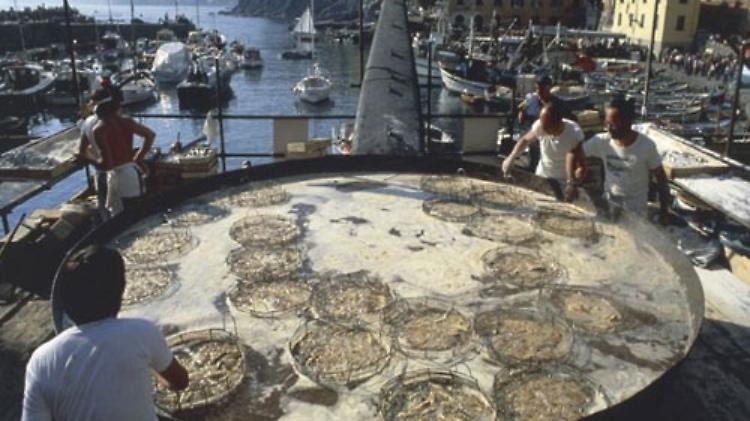 focaccia genovese