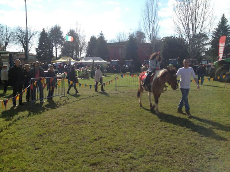 Fiera della Pallavicina a Izano