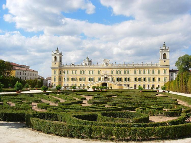 Mercato della terra a Colorno