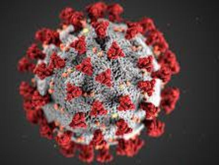 Coronavirus, Bassetti: 'Il virus ha perso la potenza di fuoco iniziale'
