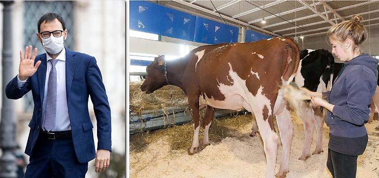 Il ministro Patuanelli punta su Cremona