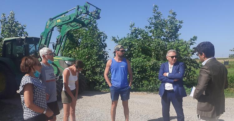 Clima «pazzo»: danni  e calo delle produzioni