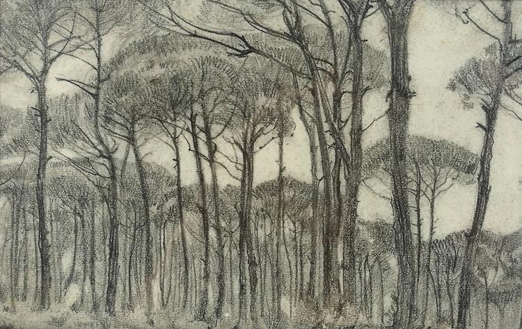 "I Disegni" di Francesco Arata