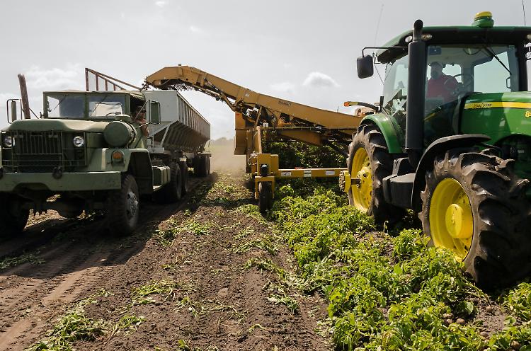 Pnrr: Patuanelli, ottenuti quasi 6 miliardi per agricoltura