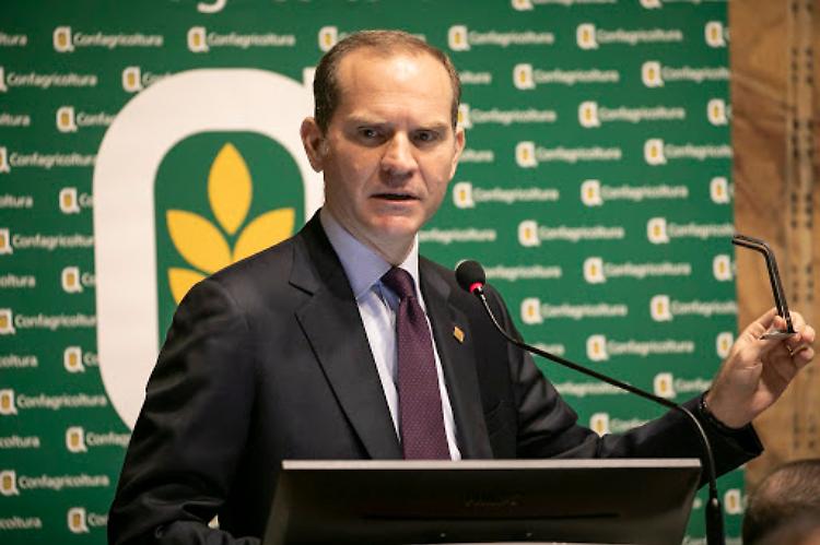 Giansanti: importante provvedimento della Commissione UE contro deforestazione