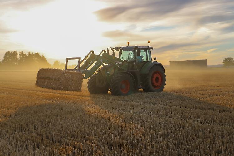 Confagricoltura: «Serve la proroga del Dl liquidità per tuto il 2022»