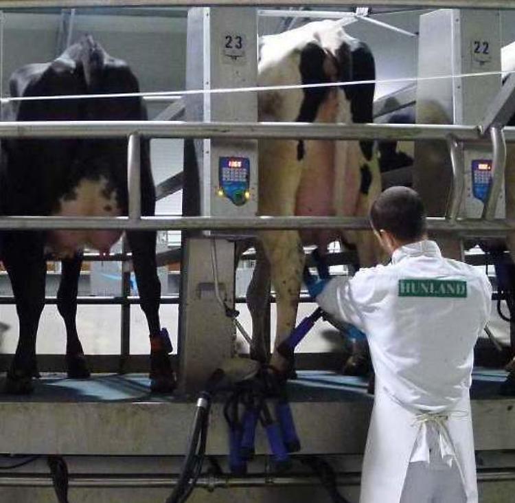 Intesa siglata con Italatte: subito un  aumento del 10%