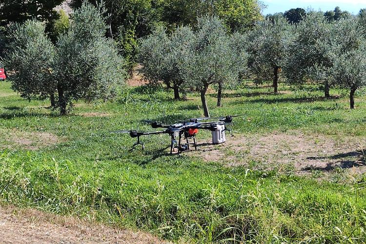 Lombardia prima a usare droni nella difesa delle coltivazioni