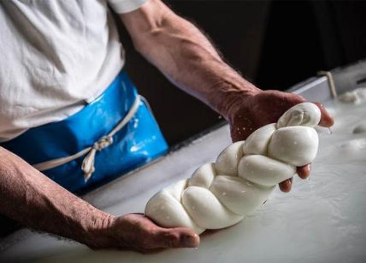 Falsa mozzarella di bufala sequestrata a Milano