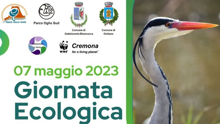 Giornata Ecologica: escursione con l'ornitologo del WWF