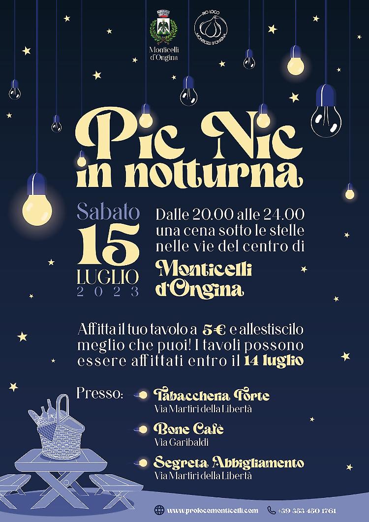 Pic Nic in notturna a Monticelli D'Ongina