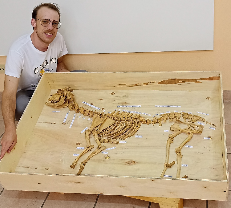 Wunderkammer: la ostra naturalistica di Stefano Bragalini