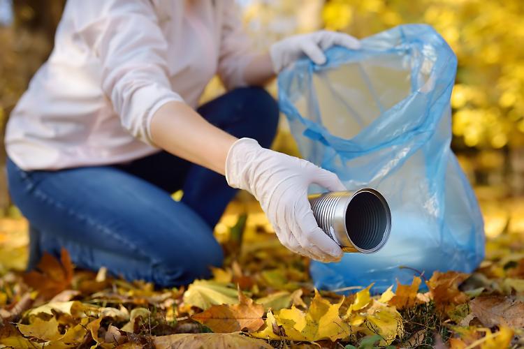 Operazione pulizia verde: insieme per un ambiente più pulito e sano