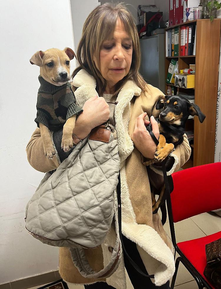 Ginny saluta il canile: ha una nuova mamma e una sorellina...