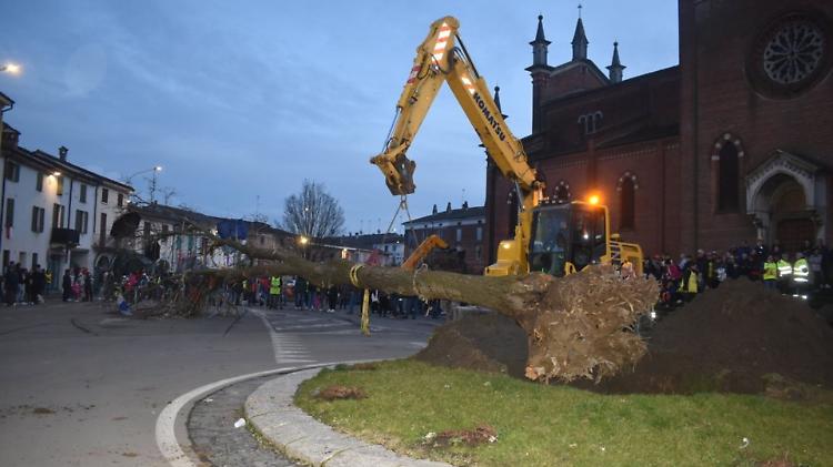 Fal&ograve;, un fiume di gente per la sfilata della pianta di rovere