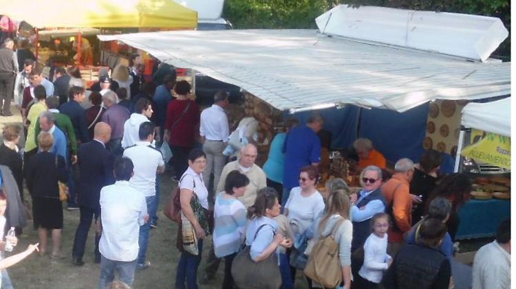 FierAgrumello, oggi la 45ª edizione apre i battenti