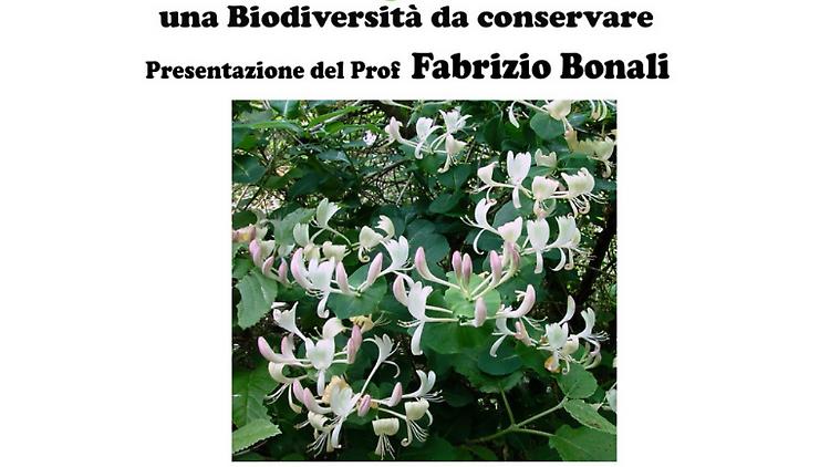 La flora provinciale - Una Biodiversità da conservare 