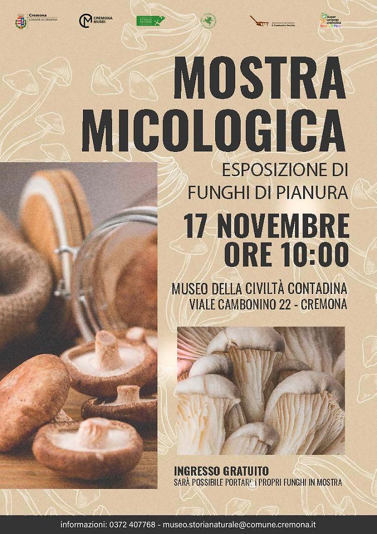 Mostra Micologica: esplorare la varietà dei funghi tipici delle nostra terre.
