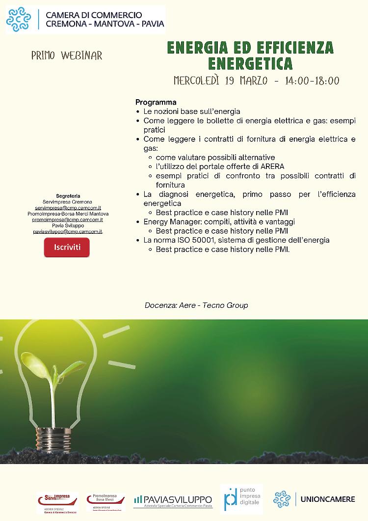 Webinar: "Energia ed efficienza energetica"