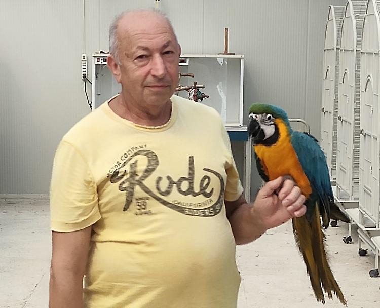 I botti dei tifosi uccidono due pappagalli