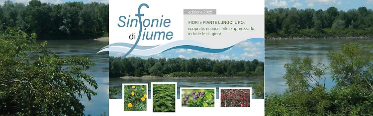 Bambini alle Colonie Padane in foto d'archivio