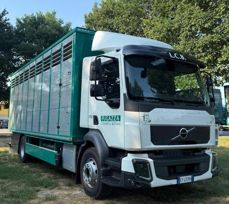 Rubato un camion per il trasporto bestiame, indagini in corso