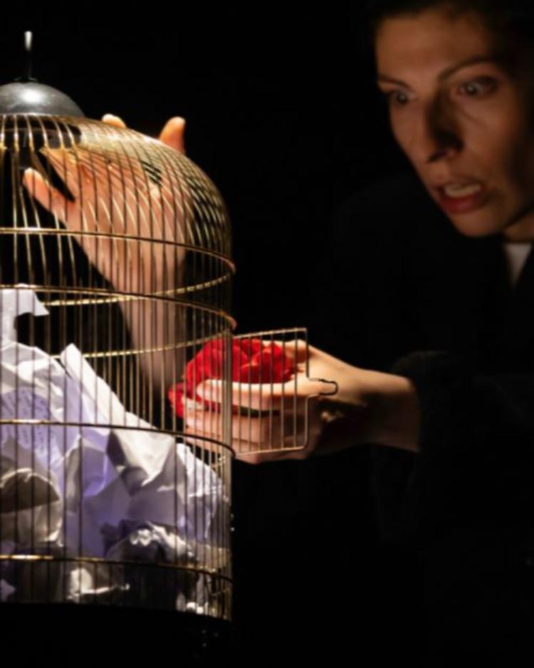 "Capinera&nbsp;" -  Acrobatiche poetiche 2025