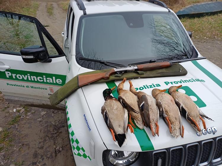 Polizia fluviale e ambientale: Adda, Po e Mincio al setaccio