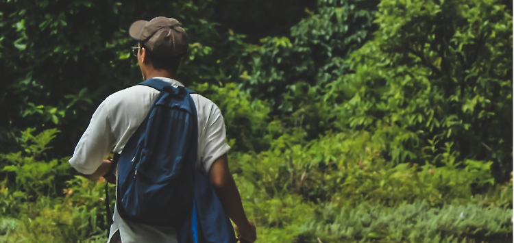 TREKKING DEL MIELE