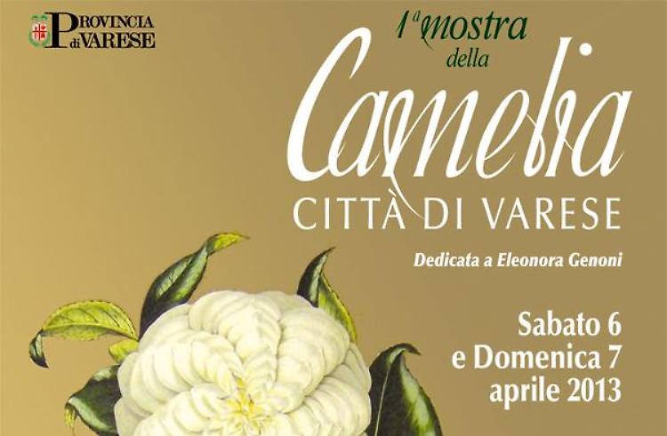 1a mostra della Camelia        
